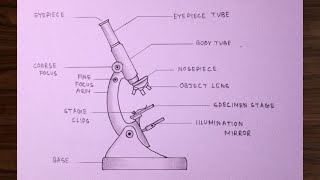 How To Draw Compound Microscope How To Draw Microscope Step By Step