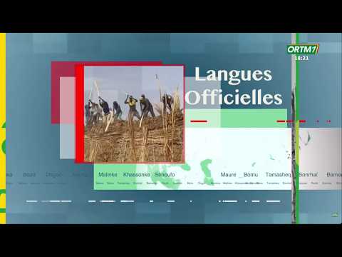 🔴 Direct | Bulletin d'Information en Langues Officielles du 09 octobre 2026