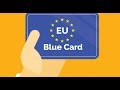 EU Blue Card - работа в Австрии по Голубой Карте ЕС