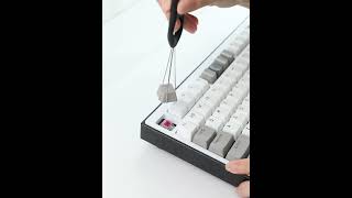 Einstein keycaps #keycaps #customkeycaps #einstein
