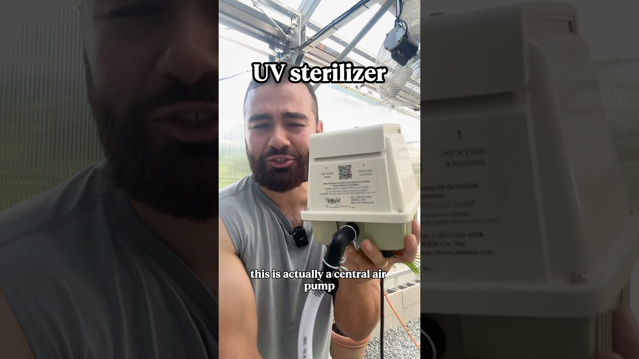 Installing a central air-pump system in my pond