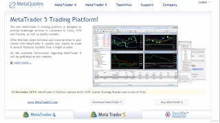 Creating a special MT4 testing and Optimization platform