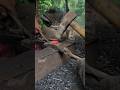 milak ismein work short video #viral