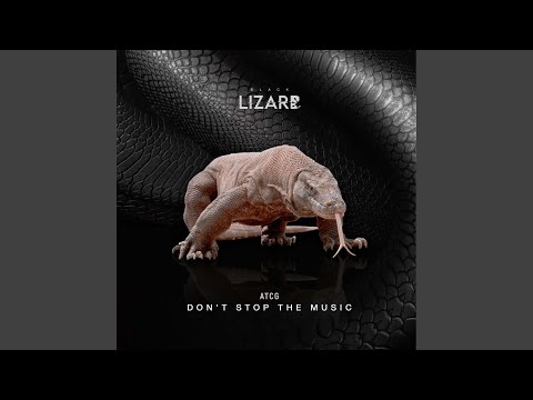 Don T Stop The Music