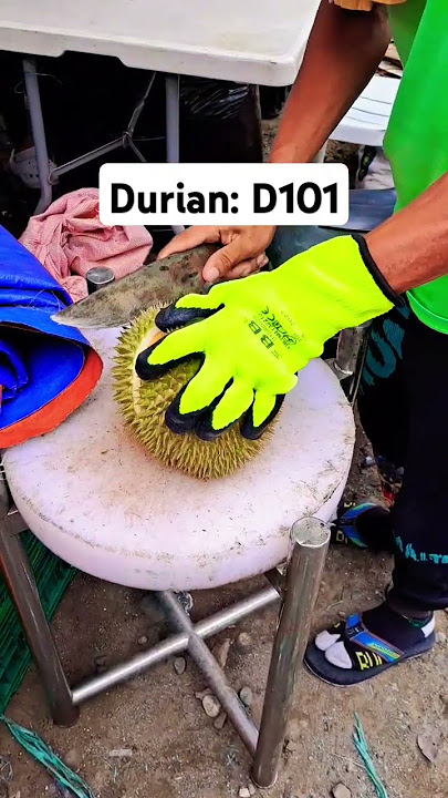 Durian fruit:  D101 #durian  #durianlover