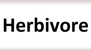 How to Pronounce Herbivore (correctly!)