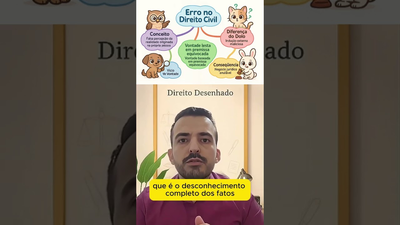 O que &eacute; erro no Direito C&iacute;vil? #direitodesenhado #direitocivil #estudantededireito #concurseiro