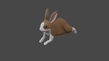 Rabbit 3D Model Rig & Animation Test