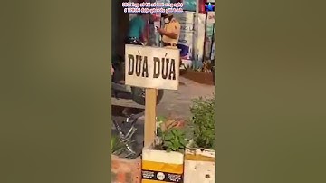 CSGT kẹp cổ tài xế taxi công nghệ ở TPHCM được yêu cầu giải trình