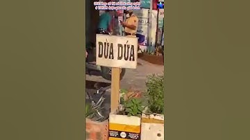 CSGT kẹp cổ tài xế taxi công nghệ ở TPHCM được yêu cầu giải trình