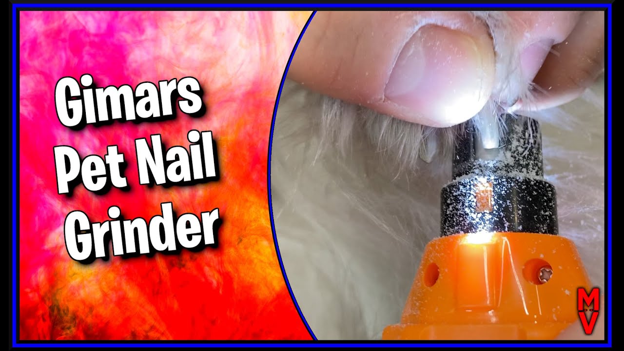 The Importance Of Dog Nail Care: Benefits And Consequences | Supertails