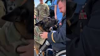 This veteran's final salute to his K-9 partner broke me 😭