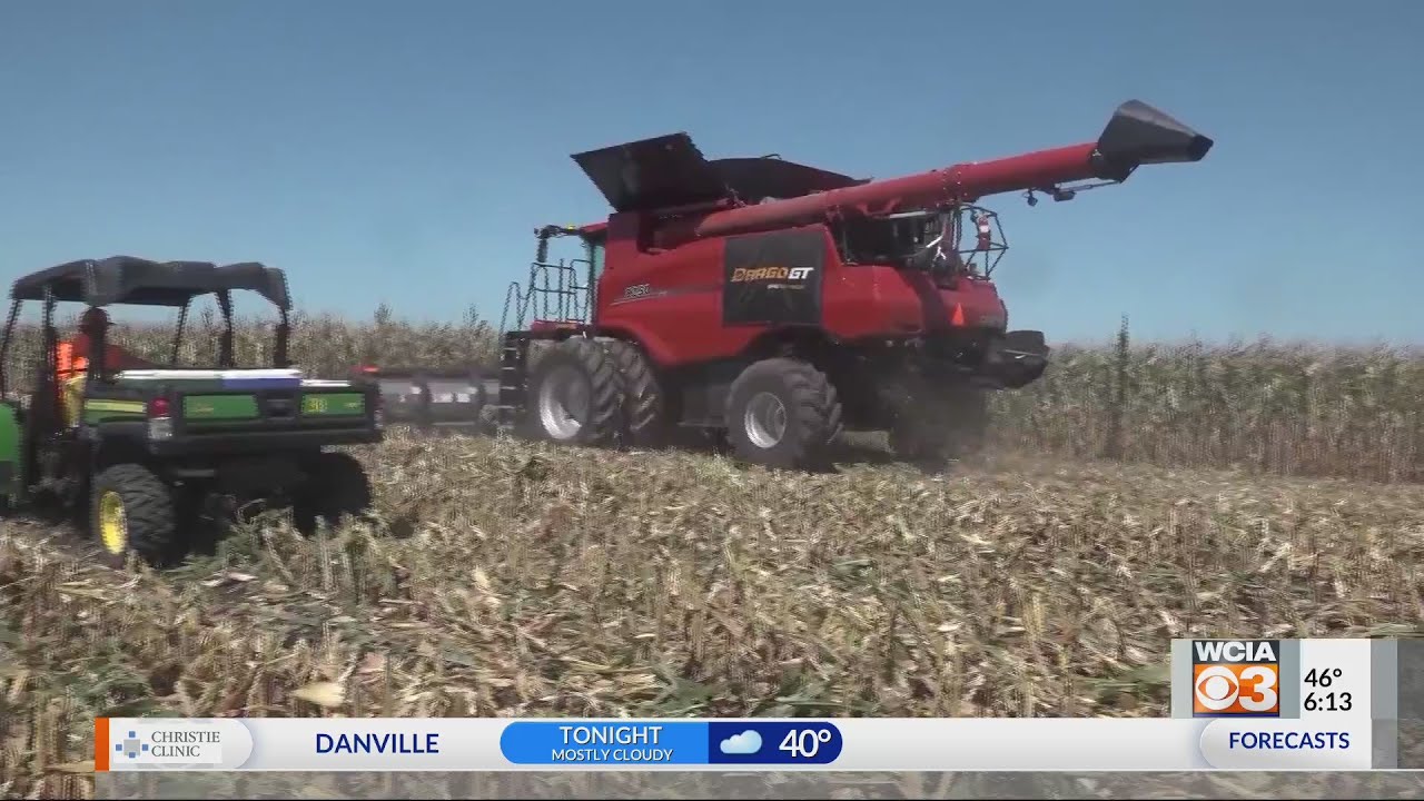 From the Farm: Consolidating Farms