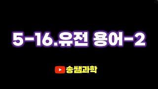 screenshot of the youtube video
