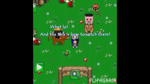 How to get a bug net on graal online!