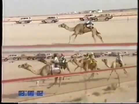 الهايلة لـ صالح محمد اللحيمرالمري مهرجان درهام التحدي 26 4 2004 الشلفة الفضية حيل قبائل