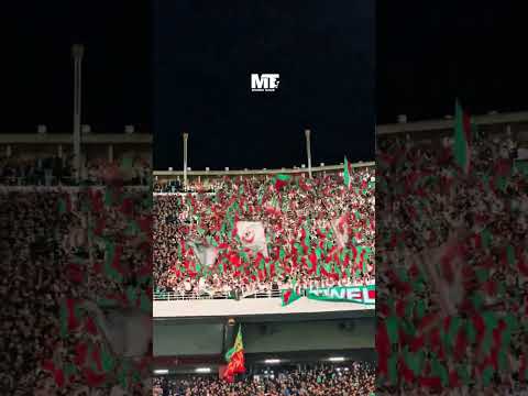 Twelfth Player Fyp Mca Shorts 