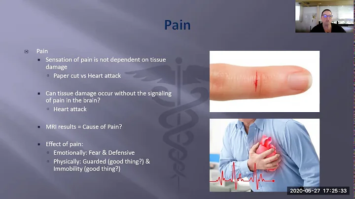 Dr. Delores Educational Series - Pain and Inflamma...