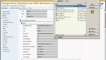 SAP ABAP Part 4 Making a RFC call to SAP ERP or CRM