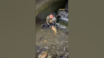 Cá Lớn - bắt Cá Chép Khủng mắc kẹt dưới đập nước 😱 #khacthuyvlogg