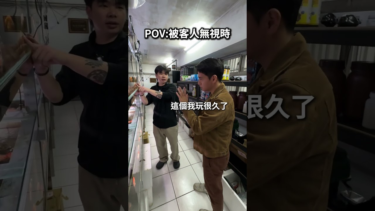 這種就是要用魔法打敗魔法 #goldfish #搞笑 #水族 #蘭壽 #金魚 縮圖