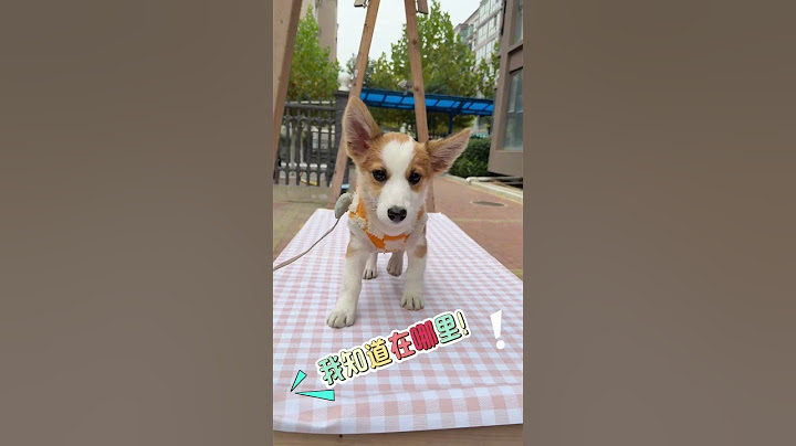 终于找到妹妹了 #人类幼崽迷惑行为大赏 #记录真实生活 #日常vlog #萌娃 #亲子互动