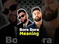 What is Bora Bora ? Breakdown Karan Aujla & Ap Dhillon Songs | Punjabi Songs | HRTV #shorts #short