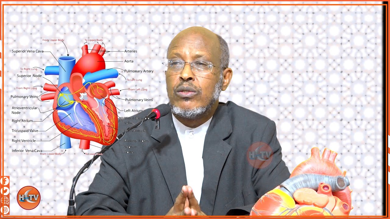Dr. Maxamed Xasan oo ka waramaya Xanuunada wadnaha ku dhaca iyo waxyaabaha keena