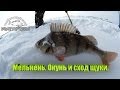 Мелькень. Окунь и сход щуки 19.02.14 KAMFISH