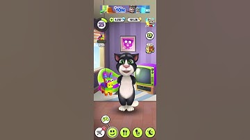 Chú mèo con. Mèo Tôm đi học. #mytommytom  #meocondethuong  #short  #mytalkingtom