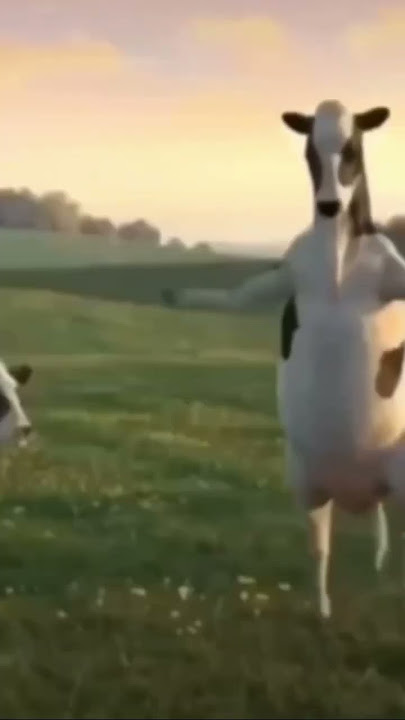 Dans eden inekler 🐄🐮 komik möö #keşfet #shortvideo #trending #eğlence #funny #exciting #kidsvideos