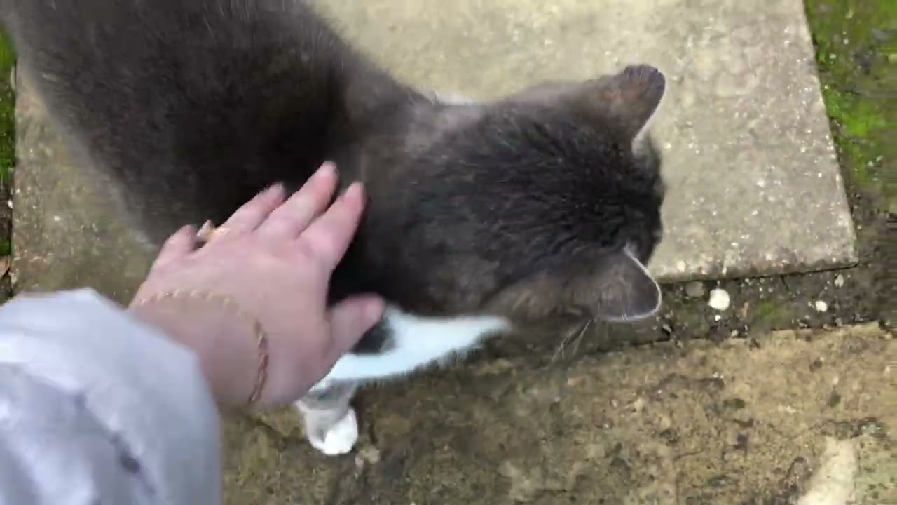 Дачный сезон открыт (16.02.26))