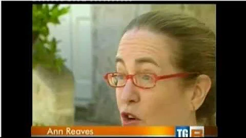 Intervista a Ann Reavis - Women's Fiction Festival...