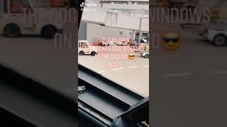 Did You Know? Tiktok Dustin737