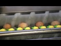 Mach-C Offline-S Egg Washer with Dryer