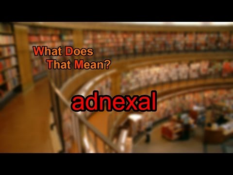 What does adnexal mean?