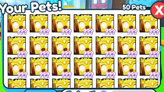 REDEEMING THE MOST INSANE PET SIMULATOR X MERCH CODE *EVER*
