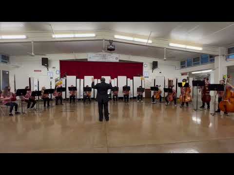 Thumbnail for Niu Valley Middle School Beginning Strings Spring Concert 2022