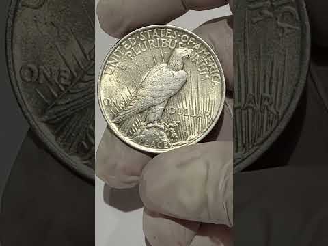 Rare 1923 Peace Dollar | AMERICA