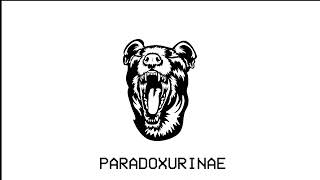 FOSSAFACE - PARADOXURINAE