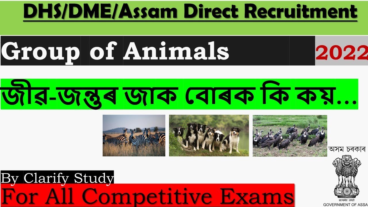 Group of animals || 20 MCQ's || Important for any Competitive Exams || DHS/DME/Direct Recruitment