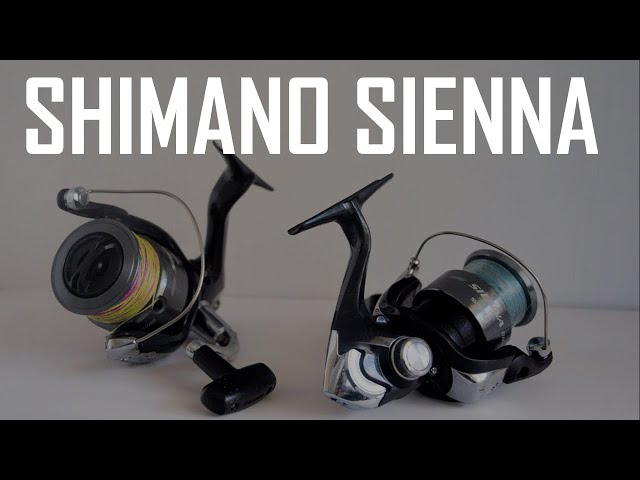 An in depth look at the Shimano Sienna 2500 