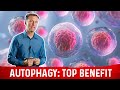 The Most Important Benefit of Autophagy: Will Surprise You