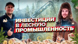 Лесная промышленность / Куда вложить деньги в 2021