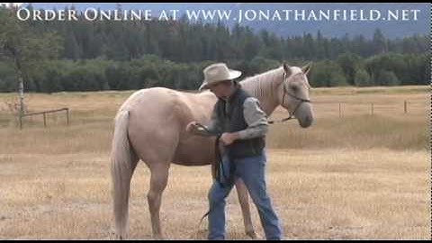 "Trust And Fundamentals" With Jonathan Field - The (re)Start is Everything Series (DVD 1)