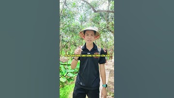 Trải Nghiệm Vui Chơi | Tập 4 |  Tham quan vườn trái cây miệt vườn tại Khu du lịch Cồn Sơn