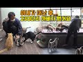 230마리 고양이 강아지 아빠 "아내의 빈자리가 너무 커요"