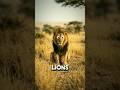 the smallest creature killed more than lion and shark #facts #animals 🥶🥶#shorts