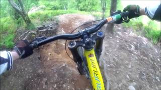 One Giant Leap Llangollen Squirrel Track