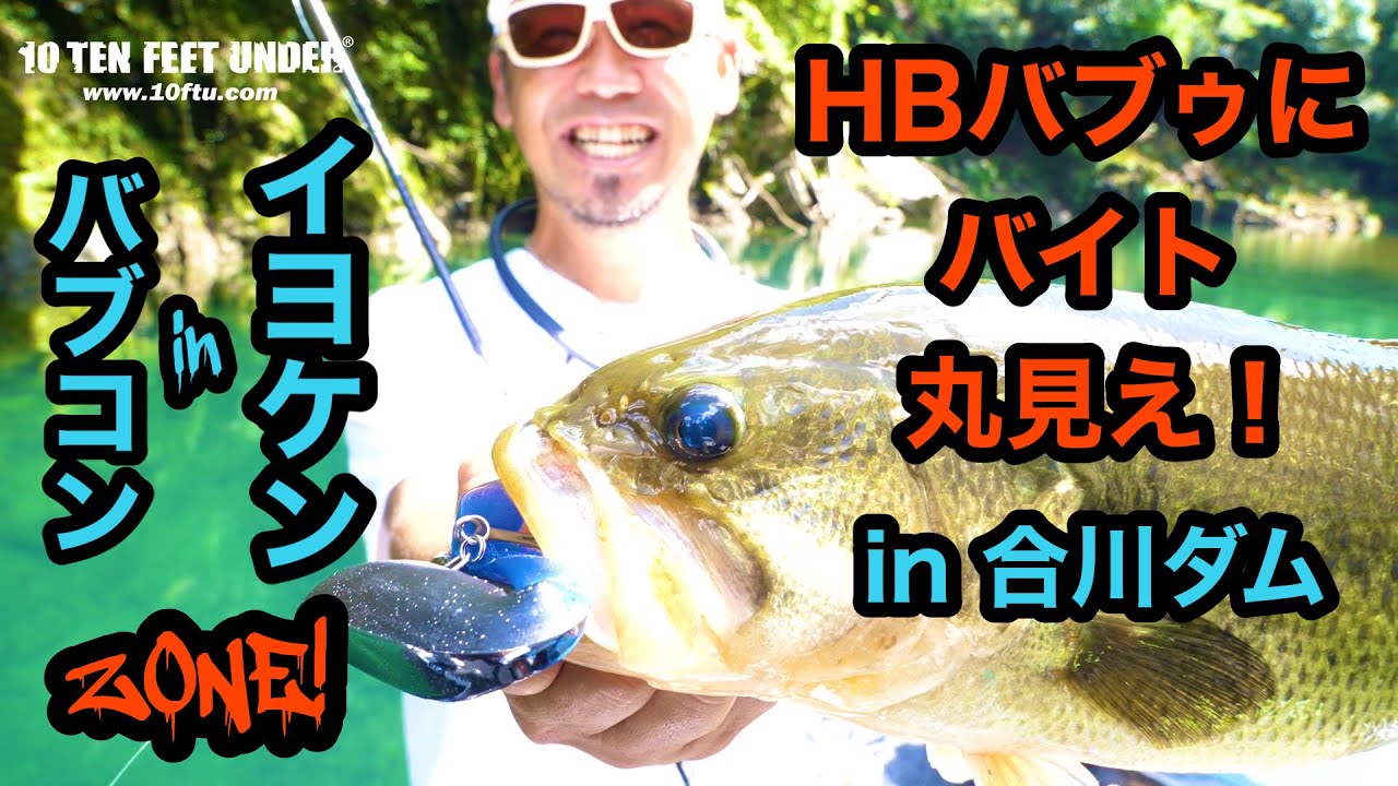 合川ダムでHBバブゥにバイト丸見え】50アップをゲットして、ゾーンに